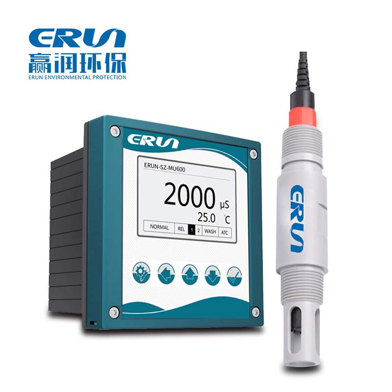 ERUN-SZ-DO110 水质溶解氧在线分析仪