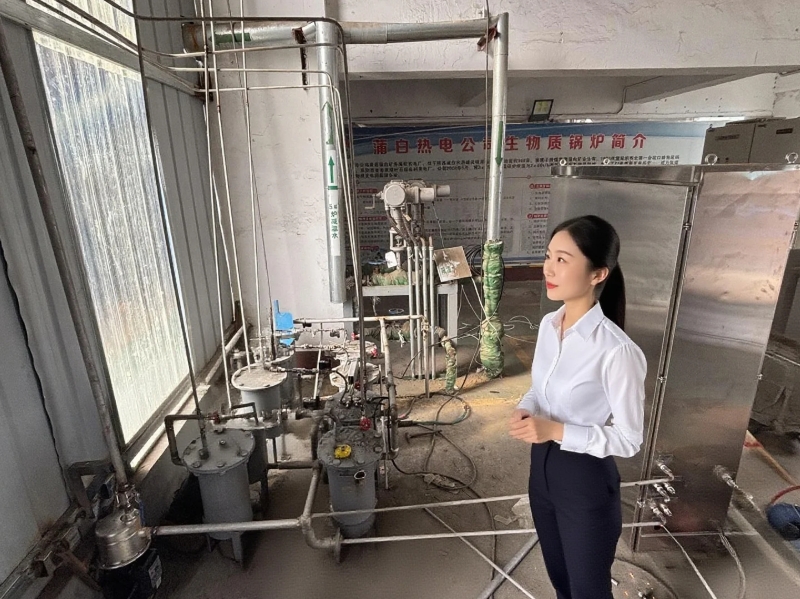 电厂锅炉水质安装现场 电厂锅炉水质安装现场